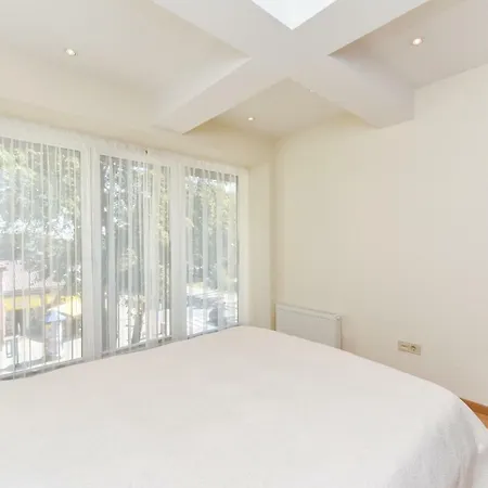 In The Center Of Apartment Palanga