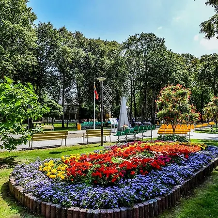 In The Center Of